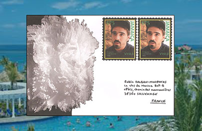 Montegobay-10-07-16-Miniature