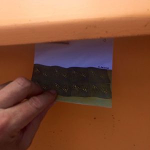 Vangvieng-06-08-16-Boite2