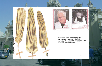 Monte-Carlo-25-01-16-Miniature1